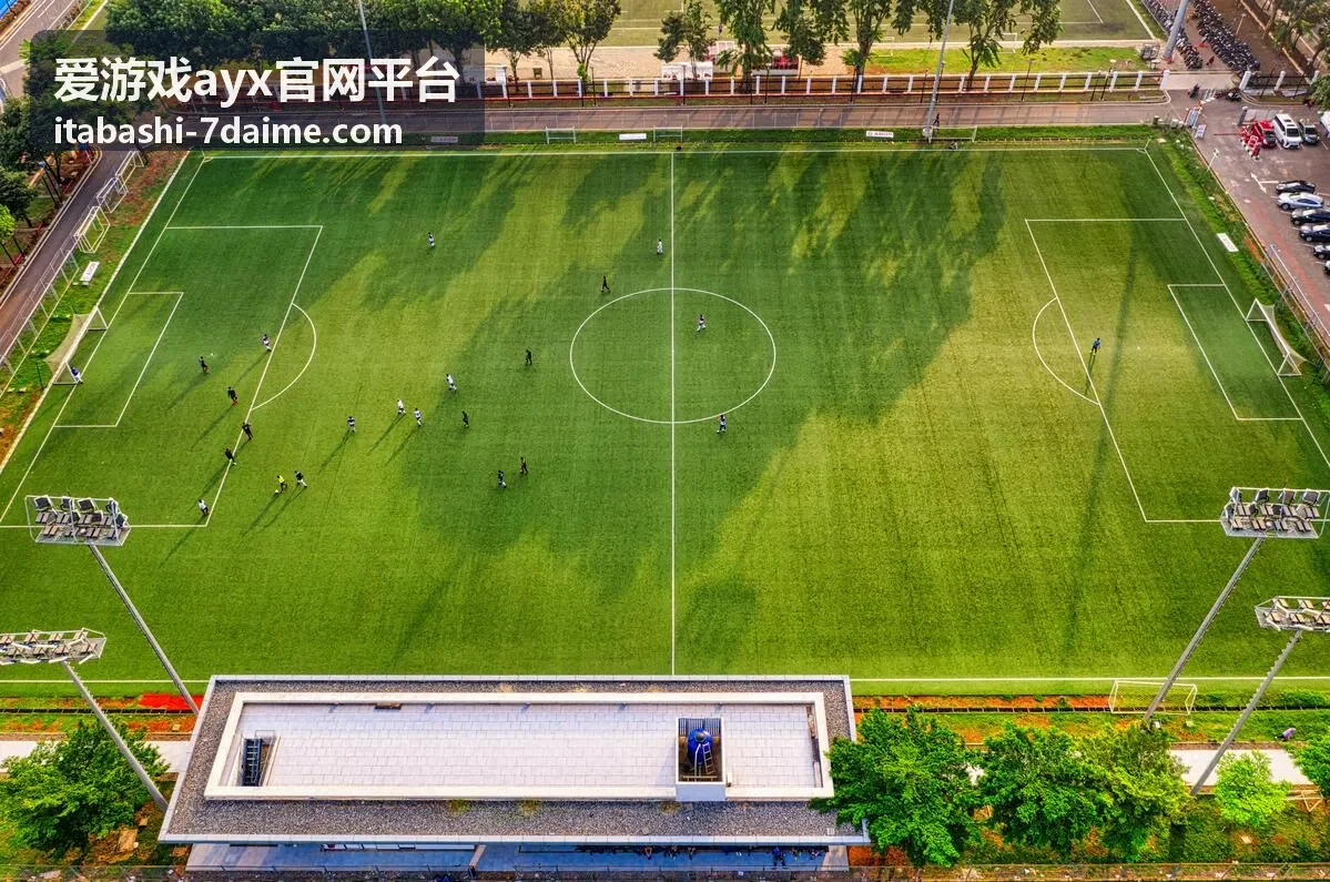 爱游戏ayx官网平台新手使用流程的操作界面示意